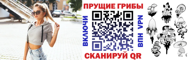 Псилоцибиновые грибы Psilocybe сколько стоит kraken рабочий сайт Холмск
